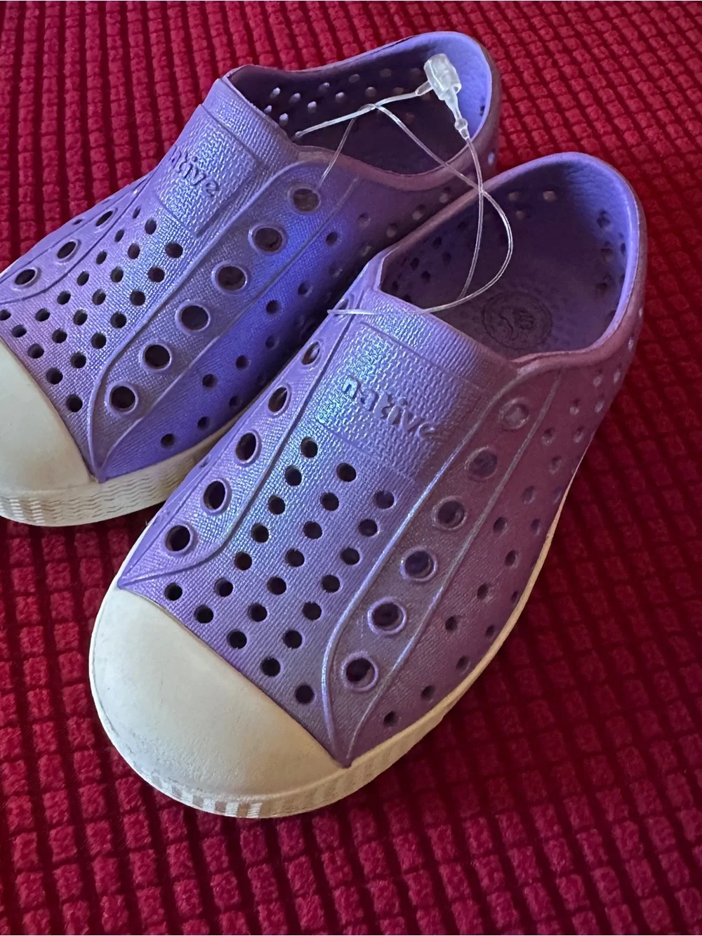 Native purple Jefferson’s fair C7